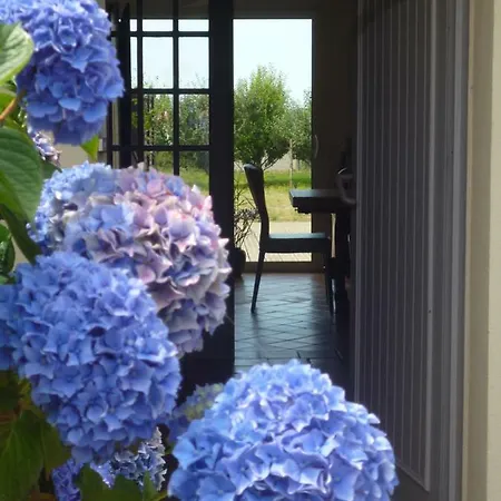 Bed & Breakfast D'hotes De Ty Guen Trédarzec